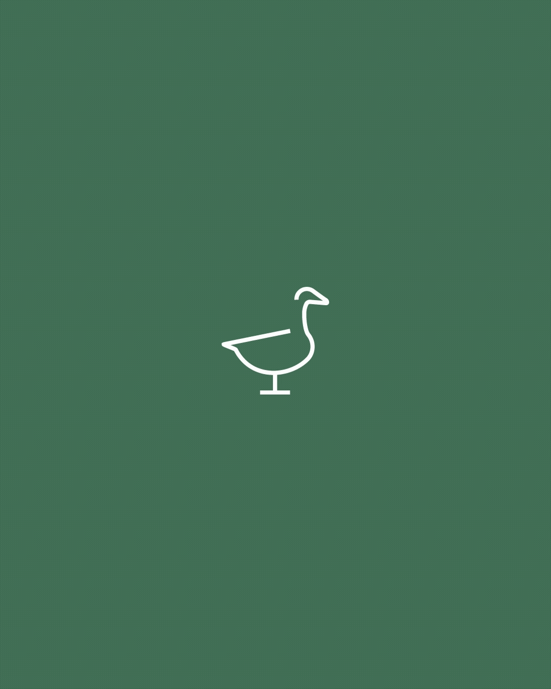 Wild Goose Logo Animation