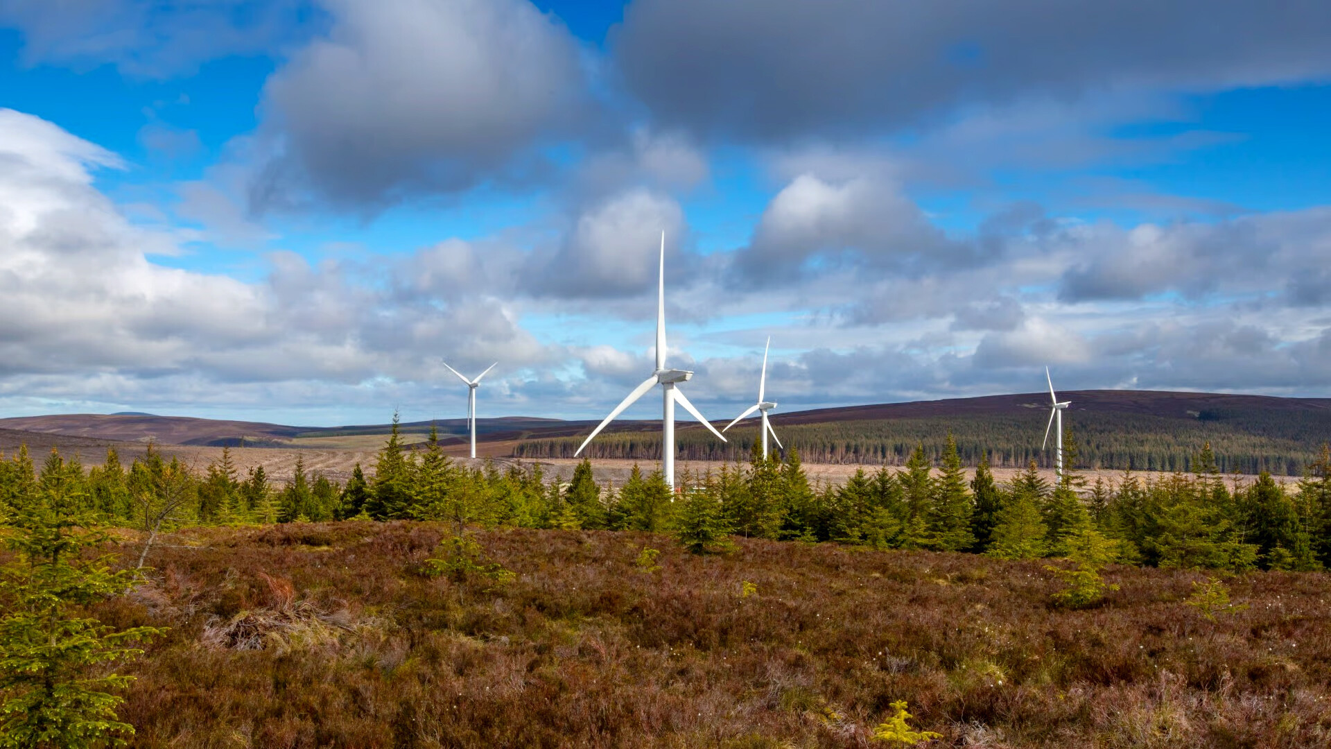 Vattenfall Windfarm