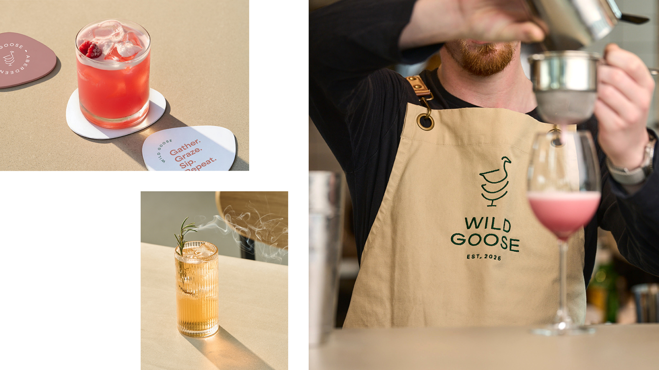 Wild Goose Design Awards 5