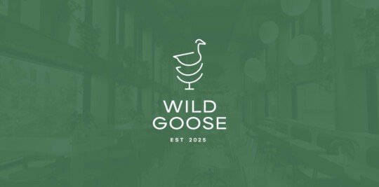Wild Goose