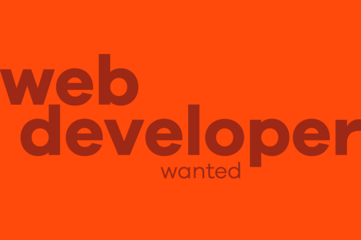 News Image Web Developer Wanted