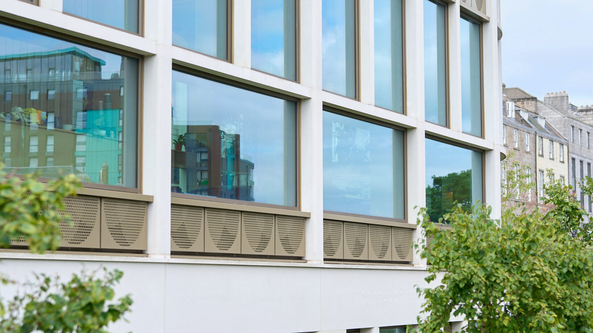 DSC00375 conorgaultphotography Wild Goose