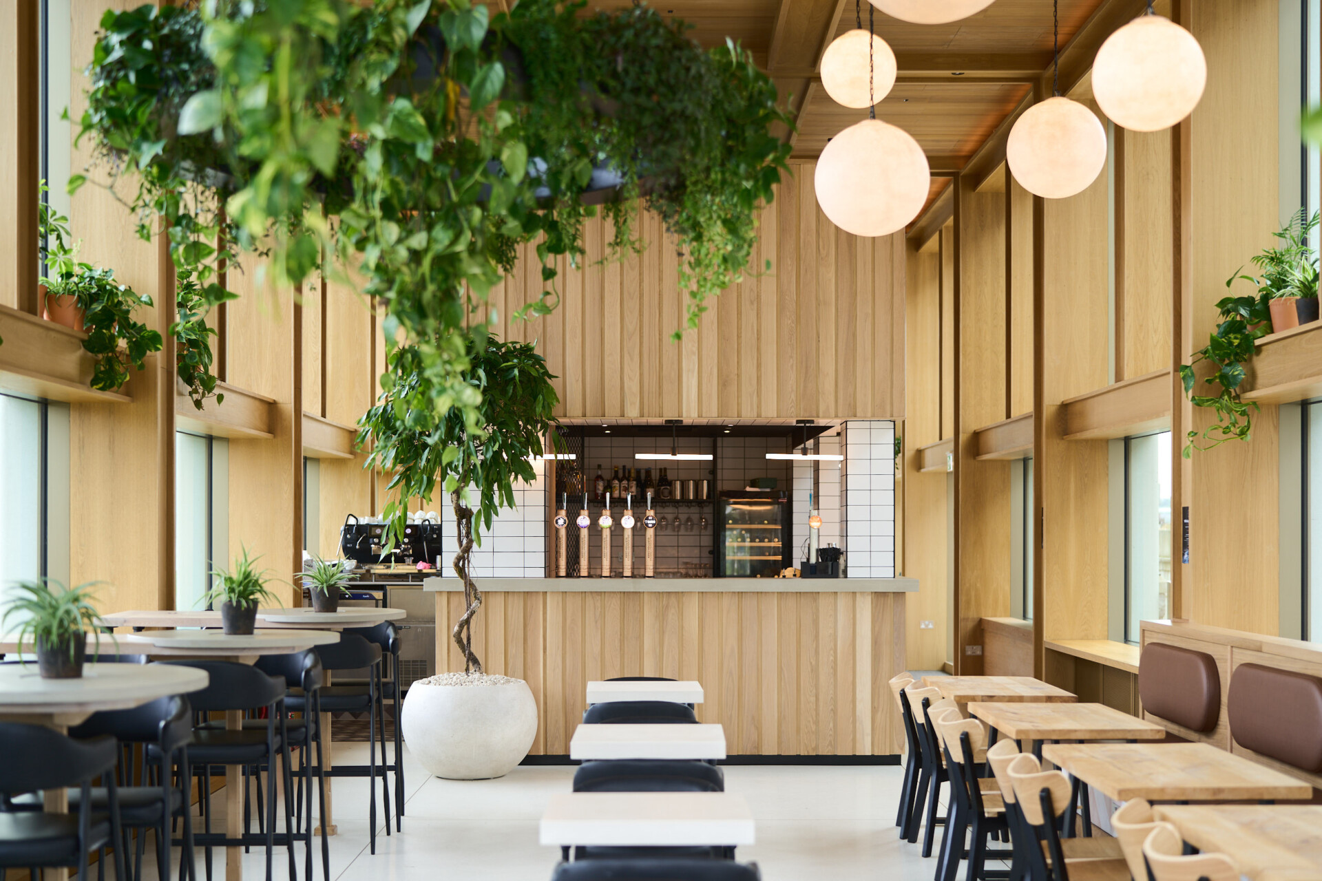 DSC00371 conorgaultphotography Wild Goose