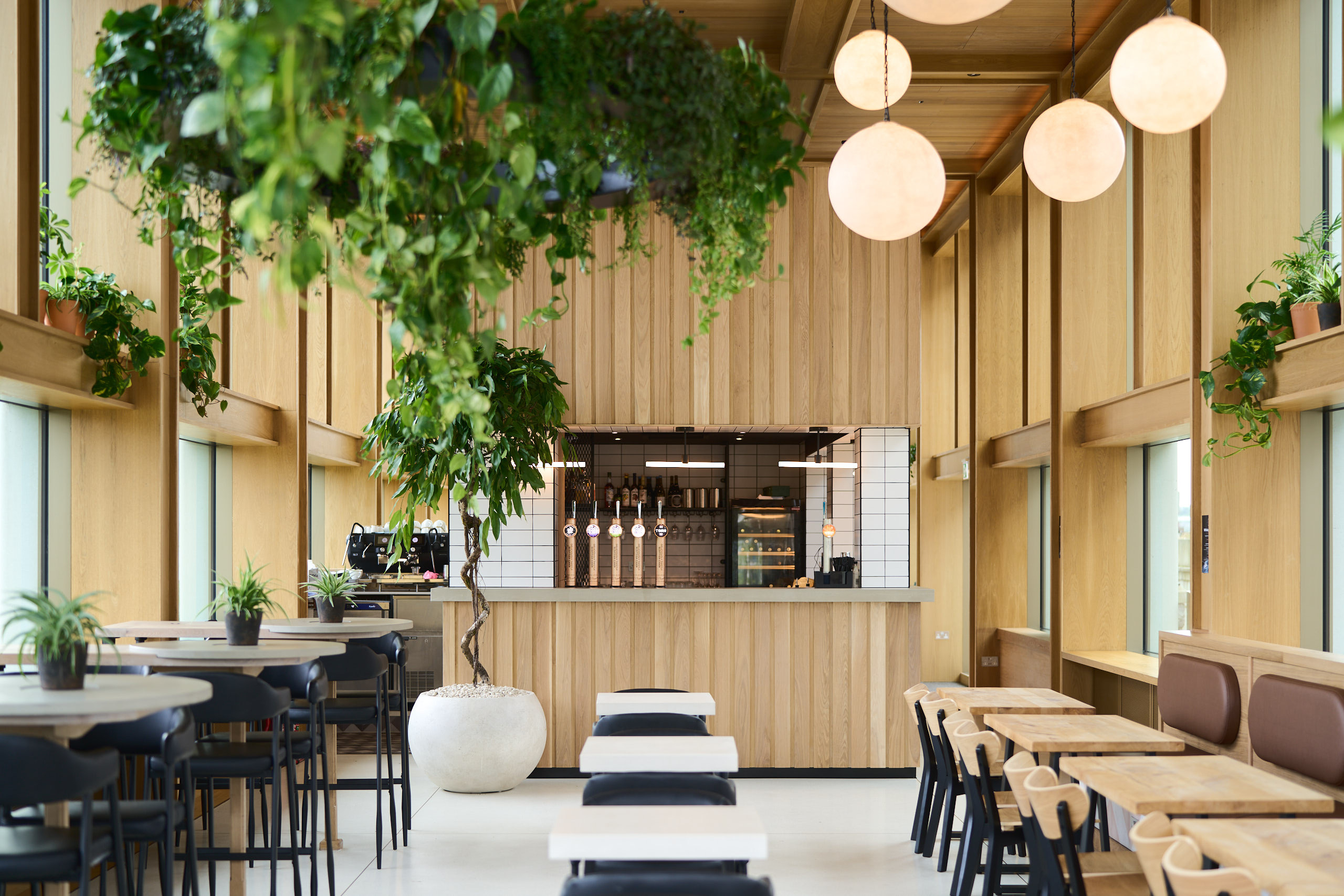 DSC00371 conorgaultphotography Wild Goose