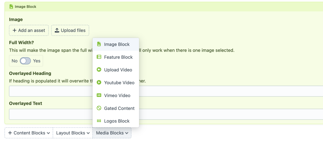 Screenshot of Craft CMS Colour, Icons and Block Groups