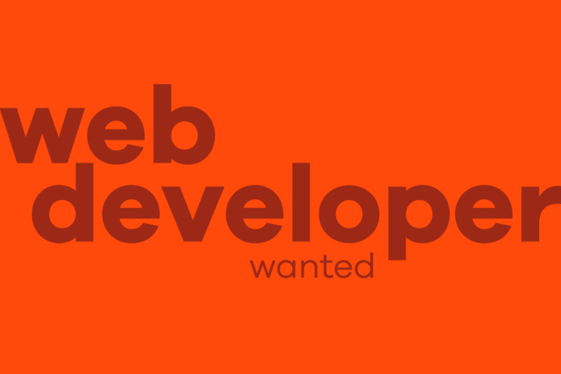 News Image Web Developer Wanted