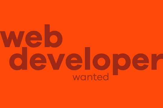News Image Web Developer Wanted